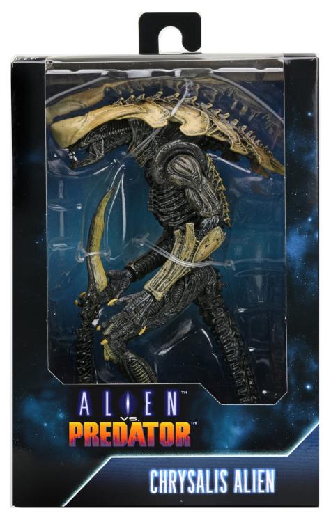 NECA - Alien vs. Predator Chrysalis Alien (Movie Deco) Figure