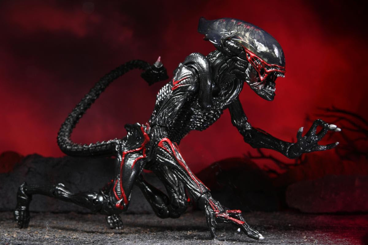 NECA - Aliens - 7" Scale Action Figure - Kenner Tribute Night Cougar Alien